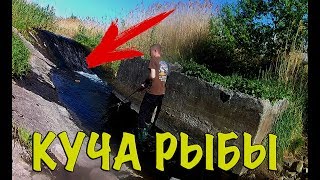 В ЭТОМ РУЧЬЕ КУЧА РЫБЫ🐟ЧЕРЕПАХА🐢КРУТАЯ РЫБАЛКА