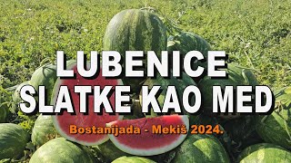 LUBENICE SLATKE KAO MED - Bostanijada, Mekiš 2024.