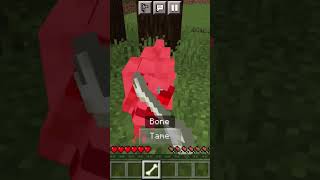 Taming a dog in Minecraft. (GONE WRONG) #shorts