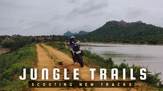 Jungle Trails | Scouting New Tracks