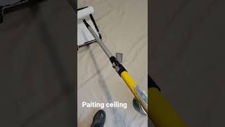 what you need to paint a ceiling