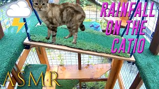 #ASMR | Rainfall On The Catio ⛈🐯 | #NoTalking #LoFi