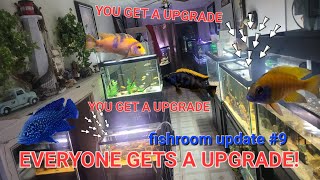 WHAT AM I GANNA DO WITH ALL THESE FISH?!?! - (FISHROOM UPDATE #9)