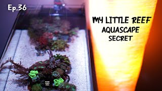 How to reef Aquascape with corals | Ep.36 Nano Reef Competition