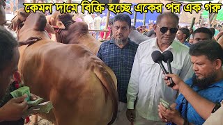 সুখবর তুমুল দরদামের পর ৭ লাখ টাকায় বিক্রি হল ৩ টি বড় গরু । দেখুন কেমন দামে বিক্রি হচ্ছে গরু