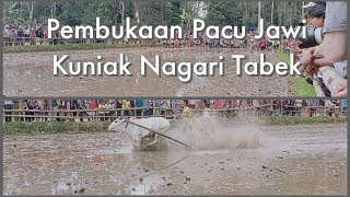 PACU JAWI TERBARU|| EDISI SAWAH KUNIAK, TABEK