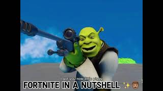 Fortnite in a nutshell✨