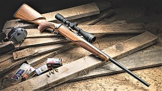 TOP 5 BEST STEYR RIFLES 2024