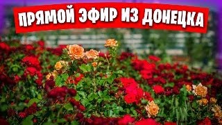 Жизнь в Донецке после переезда из Греции / Прямой эфир