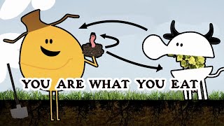 You Are What You Eat | Formidable Vegetable | Healthy Soil Healthy Food Song