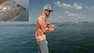 Tripletail Fishing Crab Trap Buoys off Anna Maria (Snook 'N Reds Bonus!)