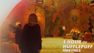 1 Hour Hufflepuff Common Room Ambience Only | Hogwarts Legacy ASMR