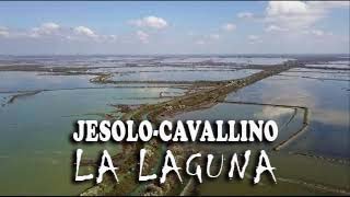 Laguna di Jesolo-Cavallino (VE)