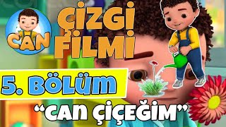 Can Çizgi Film -  5. Bölüm – Can Çiçeğim | Full Bölümler