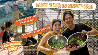 TOP 3 FARMS in Singapore You Never Knew Existed! | Adventure Of The Day Ep 6