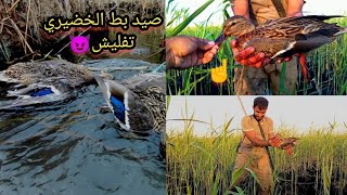 اجمل مغامر لصيد بط الخضيري داخل غابات من القصب💯💯#viral #funny #shorts