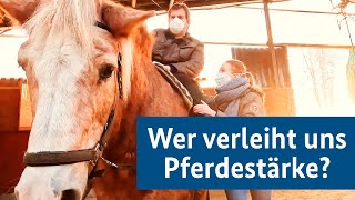 Ehrenamt: Wer verleiht uns Pferdestärke?