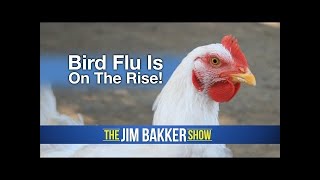 Bird Flu Is On The Rise!