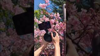 iphone vs dslr camera// #shorts //#iphonecamera