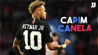 Neymar Jr - Capim Canela ( MC Brinquedo e MC Pedrinho )