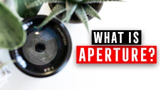 Camera Basics: APERTURE