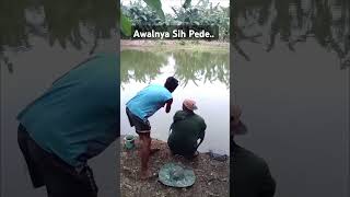 komedi mancing  #shorts #short #shortvideo #videoshort #komedi#funny #fishing #fyp #foryou