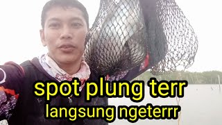 Mancing blanak fishing mullet in indonesian