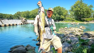 We Found An INSANE SPILLWAY Full Of DELICIOUS FISH!!! (Submarine Sandwich Catch & Cook)