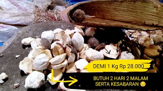 cara Tradisional memecahkan Kemiri demi biaya hidup #uang  #usah #kemiri