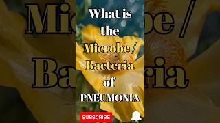 What is the microbe / bacteria of pneumonia #shorts #facts #biology #bacteria