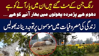 Weather in Islamabad | Poetry on Weather | Winters | Weather Updates || Adaria News