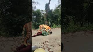 The tiger attacked and ate my friend part 216 #youtubeshorts