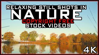 Ten 4K Relaxing Nature Backgrounds - Copyright Free Stock Footage