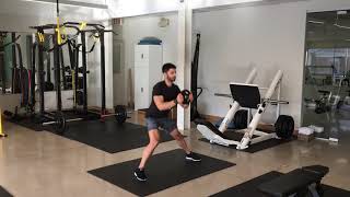 Plate Loaded Lateral Lunge