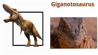 Giganotosaurus: all you need to know | Educational Videos factsheet