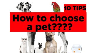 How to choose a pet?10 TIPS/വളർത്തുമൃഗത്തെ എങ്ങനെ തിരഞ്ഞെടുക്കാം? 10 ടിപ്പുകൾ