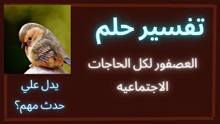 ‏تفسير رؤية العصفور في المنام للمرأة المتزوجة أول المرأة الحامل أول المطلقة او للفتاه العزباء