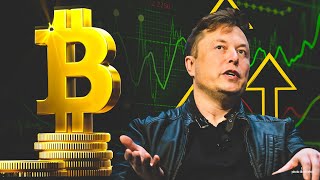 How Cryptocurrency Influenced by Elon Musk? Cryptocurrency Basics