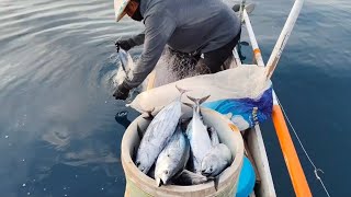 di perjalanan menuju pulang, di hadang segerombolan ikan cakalang mendidih.