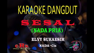 Karaoke Sesal Nada Pria - Elvy Sukaesih (Karaoke Dangdut Tanpa Vocal)