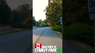 Scootering around Vancouver's Stanley Park Seawall on Segway Ninebot Max Electric Scooter 🛴✨🍁🇨🇦