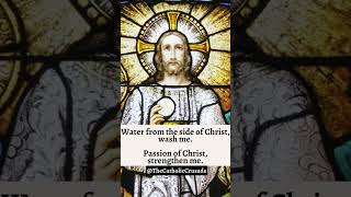 Anima Christi  |  Soul of Christ (Sanctify Me) | #shorts