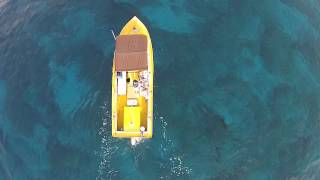 Drone Aerial View of Dolphins Swimming Next To Boat - DJI Phantom 2 Vision+ Quadcopter