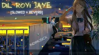 Dil Royi Jaye [Slowed+Reverb]- ARIJIT SINGH | De De Pyaar De | Indimusicx | #SlowedandReverb #lofi