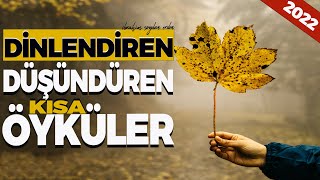 HİKÂYELER (20.Bölüm )| İbrahim Soydan Erden