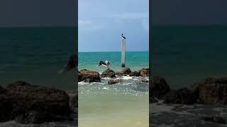 Fort Zachary Taylor Historic State Park, Key West, Florida