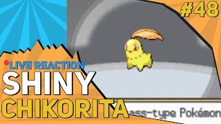 [Live] Shiny Chikorita Reaction After 1772 SR | Pokemon Shiny Living Dex #48