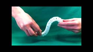 Snake Like Kinematics for Manipulators (2012)