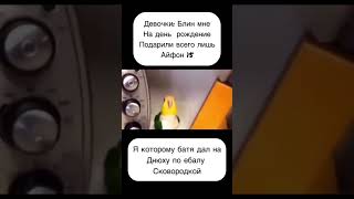 Попугай танцует #мем #shorts #танцуюшийпопугай #edit