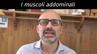 I muscoli addominali